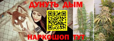 молекула духа Будённовск